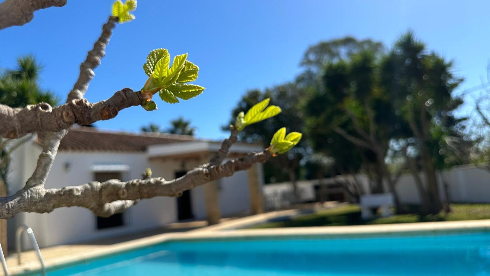 Vivienda Rural Atlantico Sur & Familias Guest House โกนิล เด ลาฟรอนเตรา ภายนอก รูปภาพ